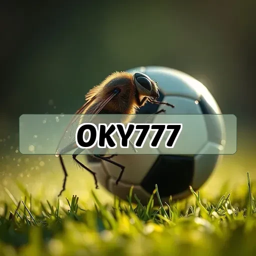oky777: Dicas para Aumentar Seus Ganhos em Jogos de Apostas